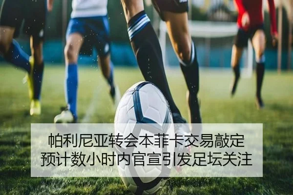 帕利尼亚转会本菲卡交易敲定 预计数小时内官宣引发足坛关注
